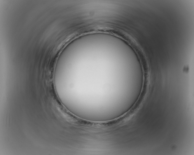 X0000113930881200909250913