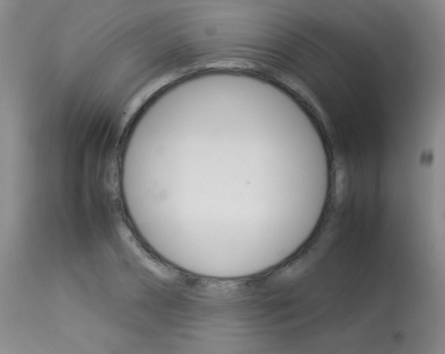 X0000113930882200909250913
