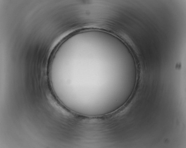 X0000113930884200909250913