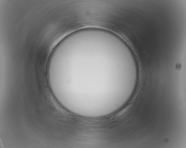 X0000113930885200909250913
