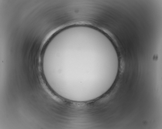 X0000113930886200909250913