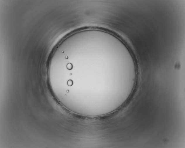 X0000113930887200909250913