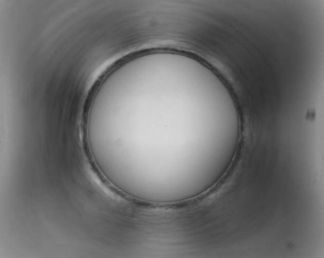 X0000113930888200909250913