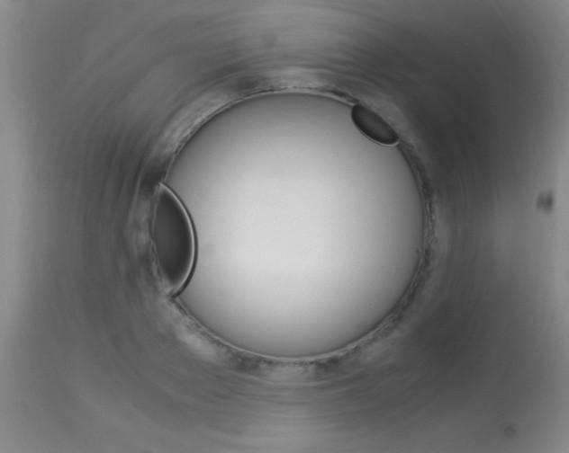 X0000113930889200909250913
