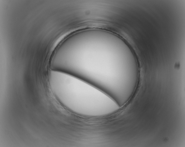 X0000113930891200909250913