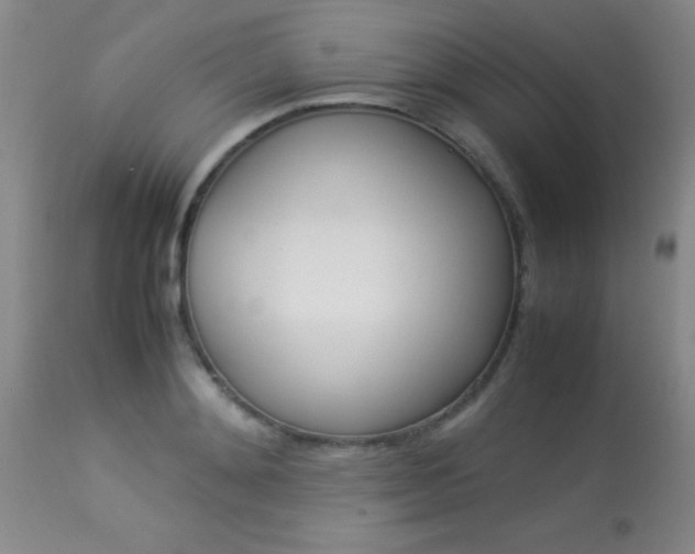 X0000113930892200909250913