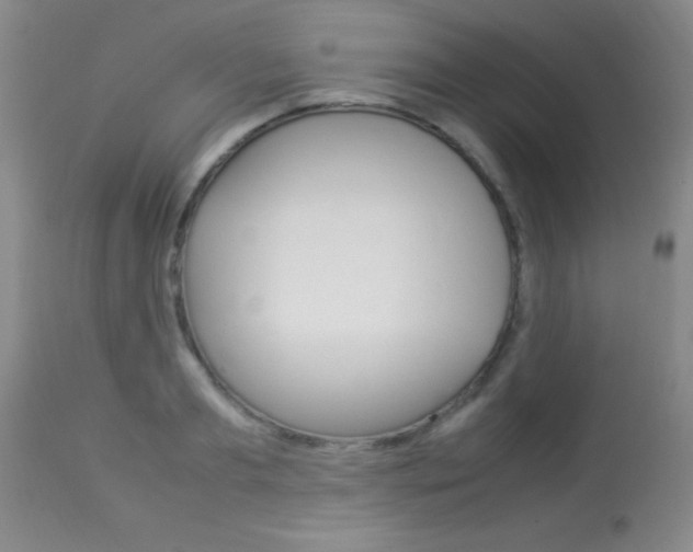 X0000113930893200909250913