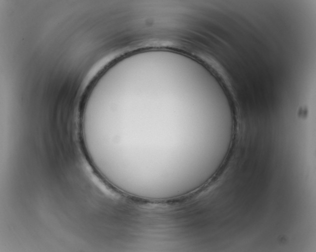 X0000113930894200909250913
