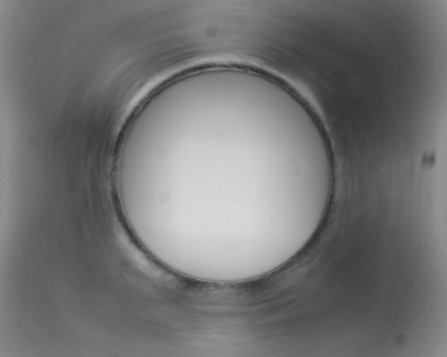 X0000113930895200909250913