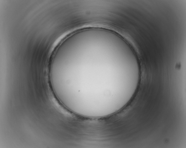 X0000113930896200909250913