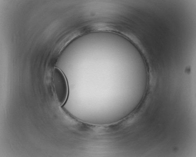 X0000113930897200909250913