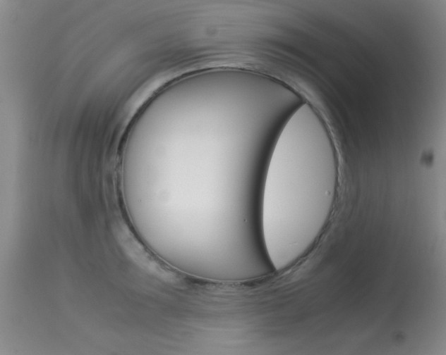 X0000113930899200909250913