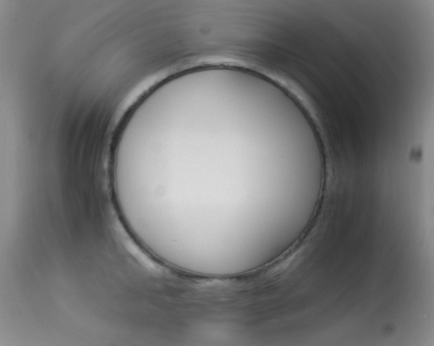 X0000113930902200909250913