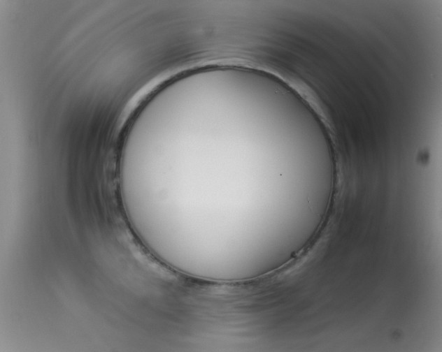 X0000113930904200909250913