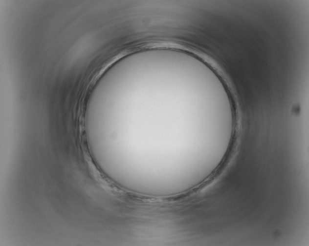 X0000113930905200909250913