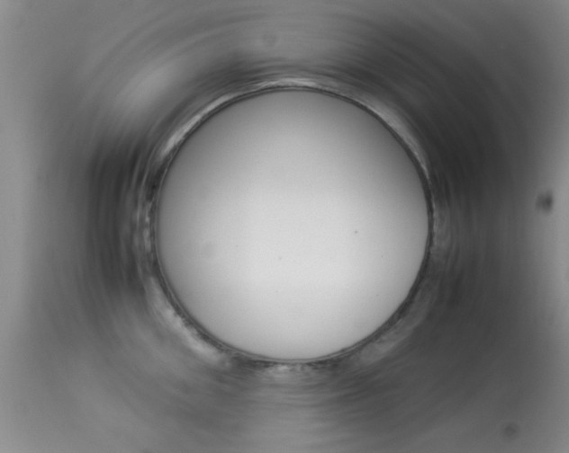 X0000113930906200909250913