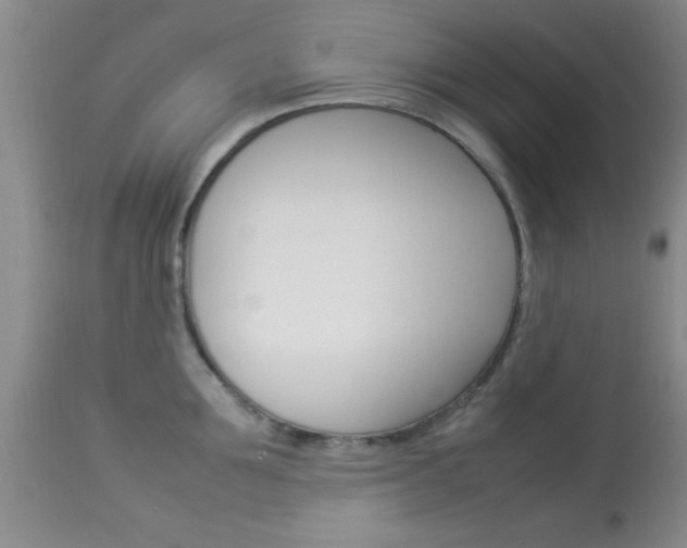 X0000113930907200909250913