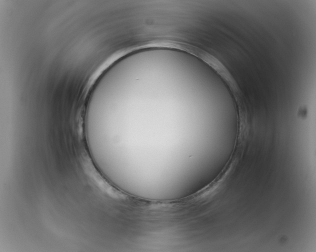 X0000113930908200909250913