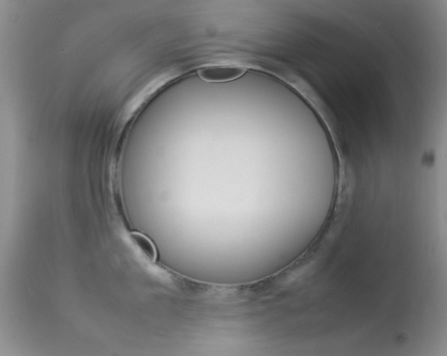 X0000113930909200909250913