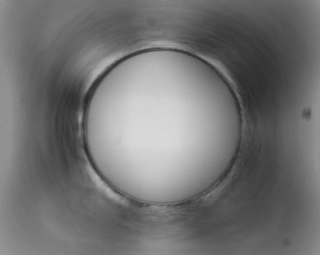 X0000113930910200909250913
