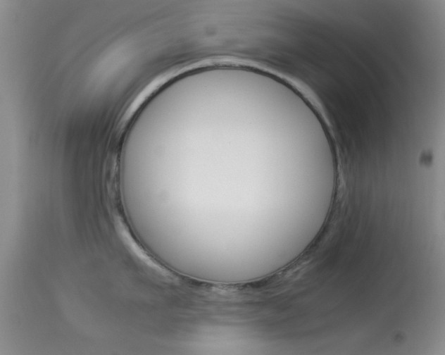 X0000113930911200909250913