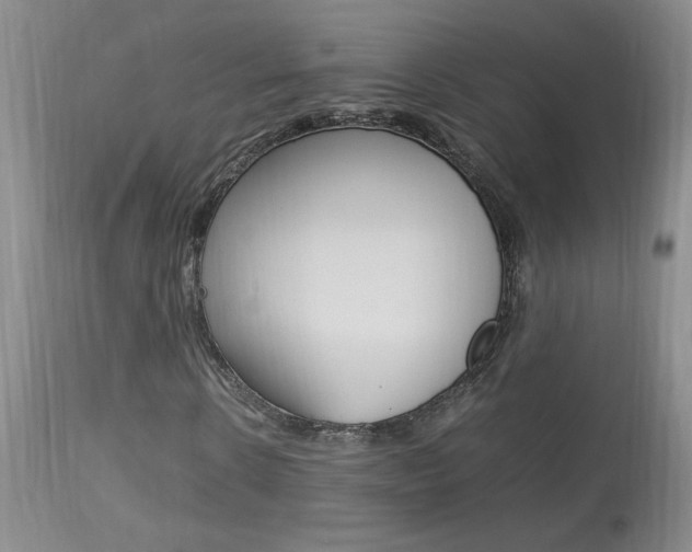 X0000113930914200909250912