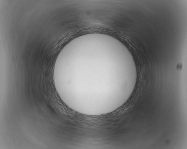X0000113930916200909250912