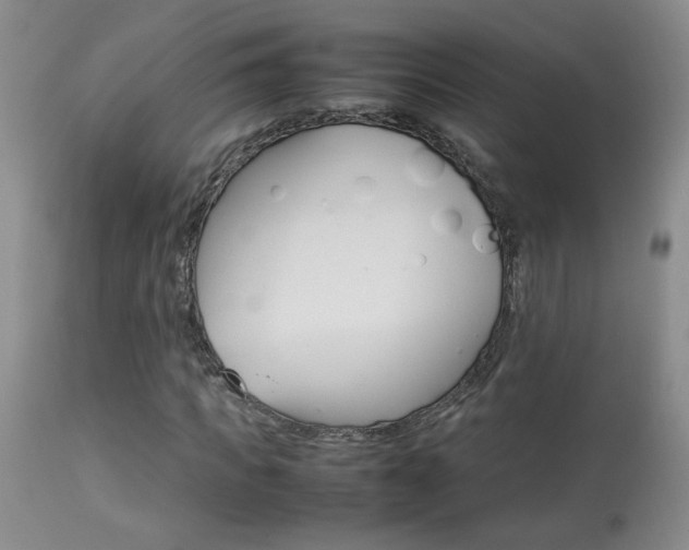 X0000113930917200909250912