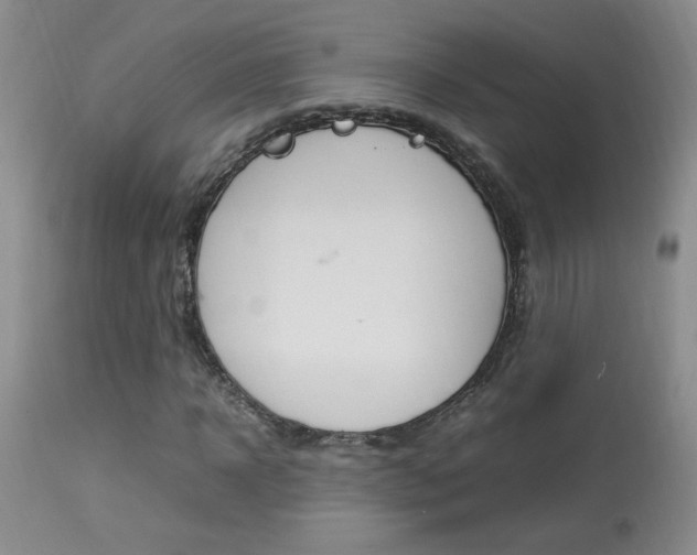 X0000113930918200909250912