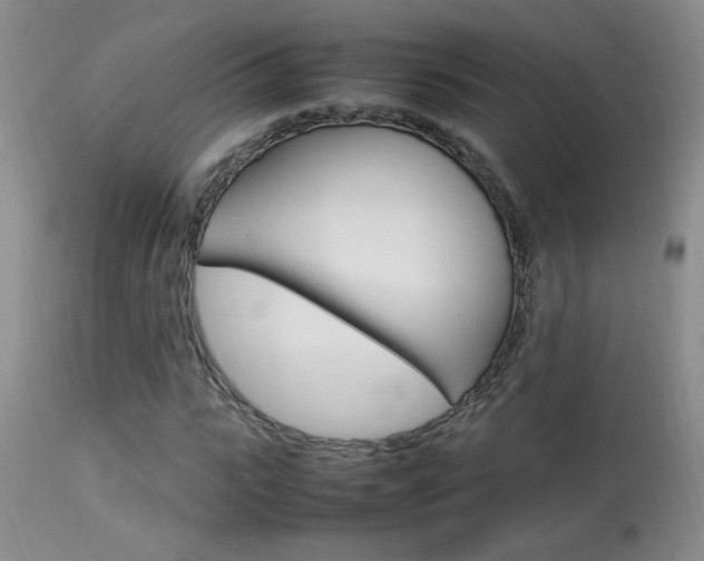 X0000113930919200909250912