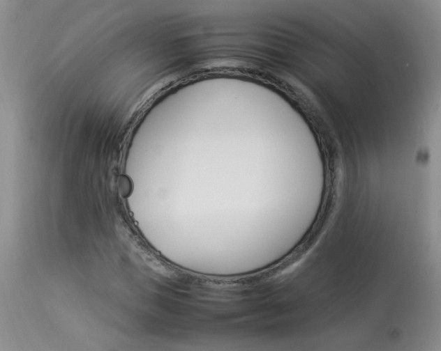 X0000113930921200909250912