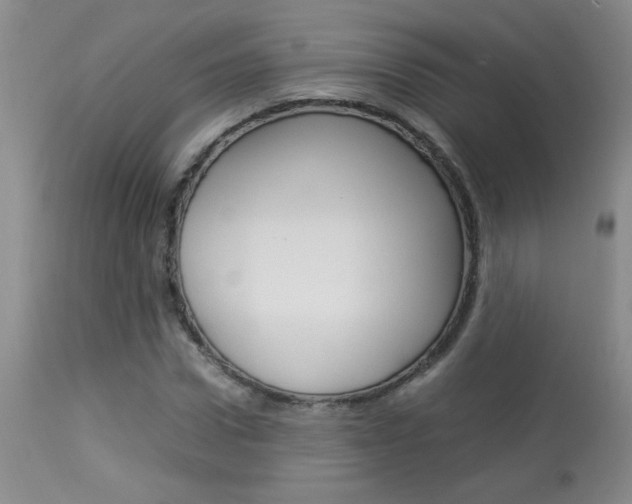 X0000113930922200909250912