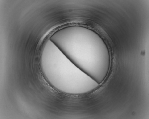 X0000113930923200909250912