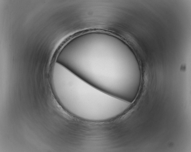 X0000113930924200909250912