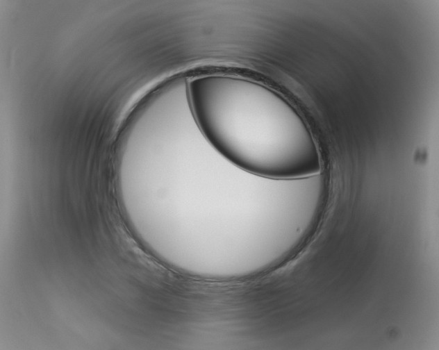 X0000113930926200909250912