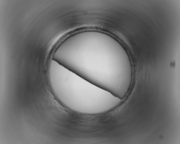 X0000113930927200909250912