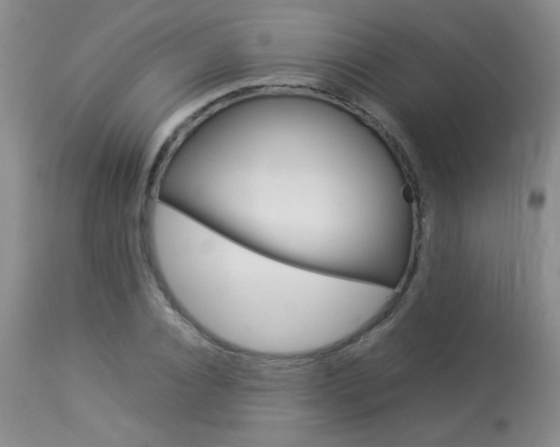X0000113930928200909250912