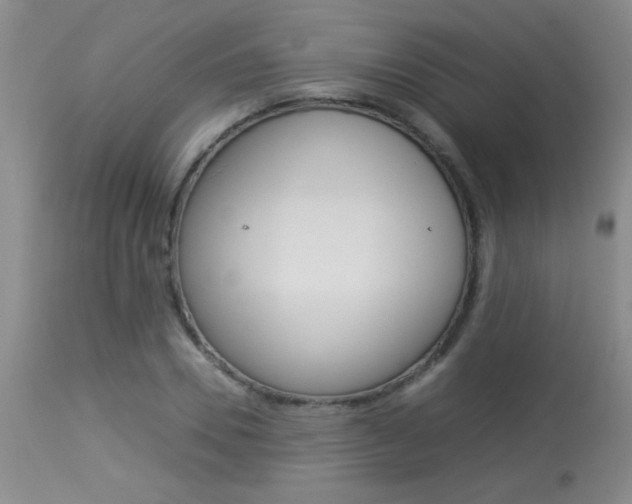 X0000113930930200909250912