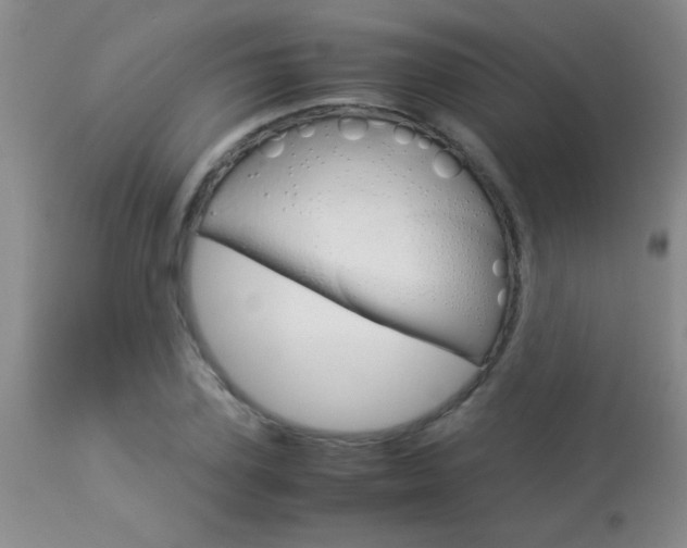 X0000113930931200909250912