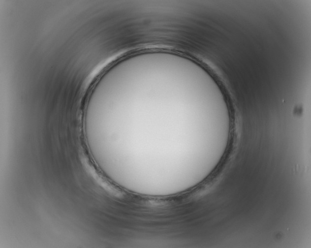 X0000113930933200909250912