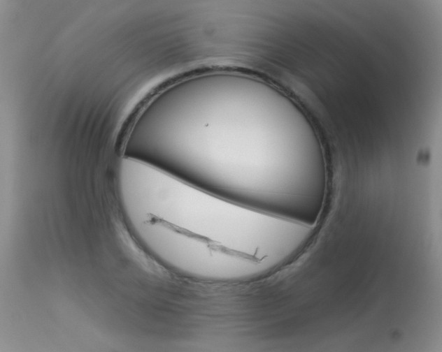 X0000113930934200909250912