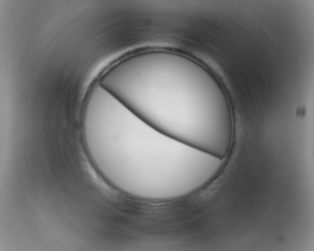 X0000113930935200909250912