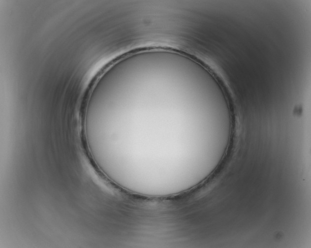 X0000113930936200909250912