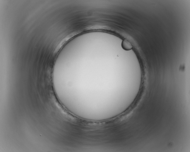 X0000113930937200909250912