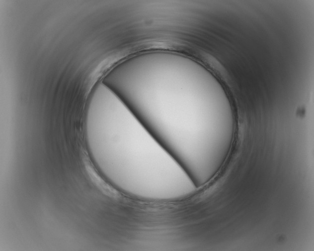 X0000113930938200909250912