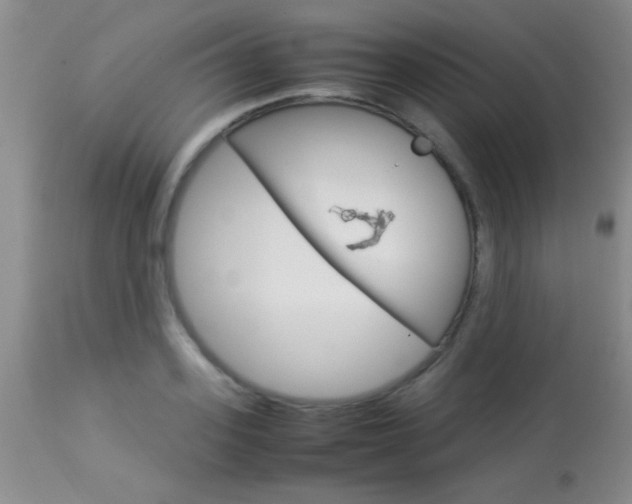 X0000113930939200909250912