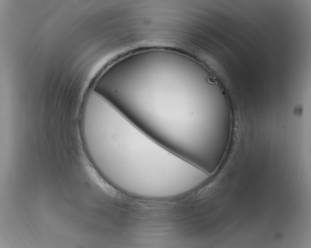 X0000113930942200909250912