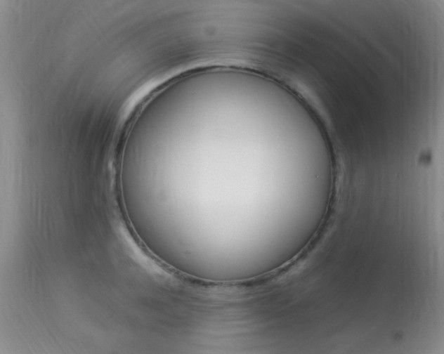 X0000113930944200909250912
