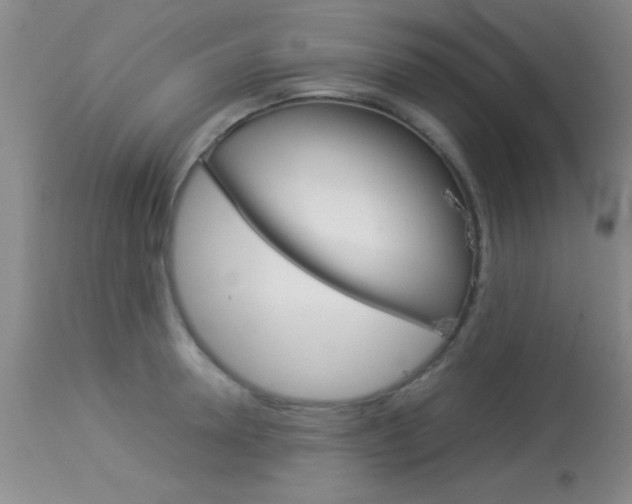X0000113930946200909250912