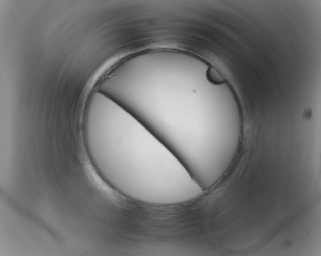 X0000113930947200909250912